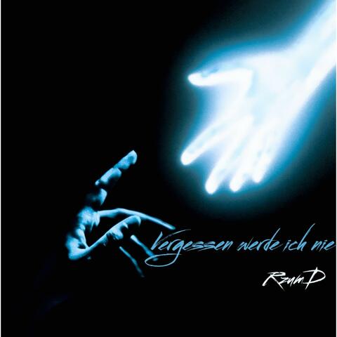 Vergessen werde ich nie album art