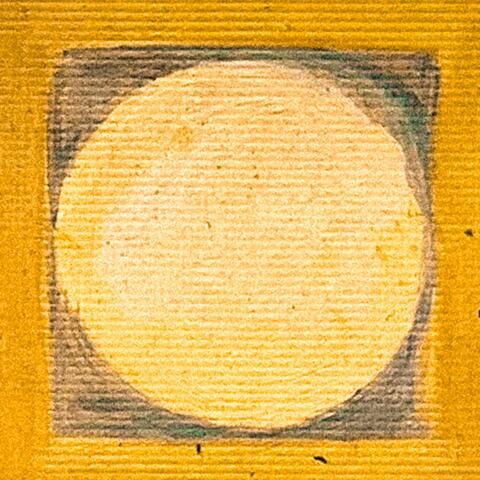 She Is The Flowers album art