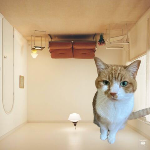 Cat's It Was album art