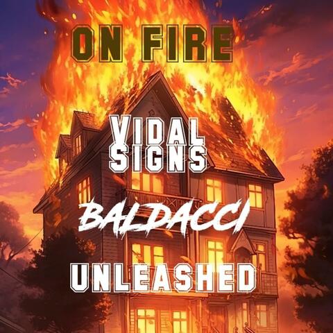 ON FIRE (feat. BALDACCI & VIDAL SIGNS) album art