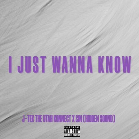 I Just Wanna Know (feat. Sin (Hidden Sound)) album art