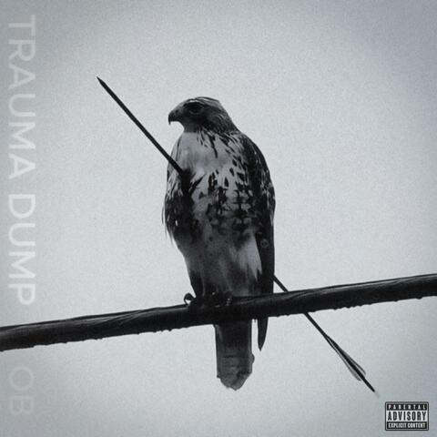 TRAUMA DUMP album art