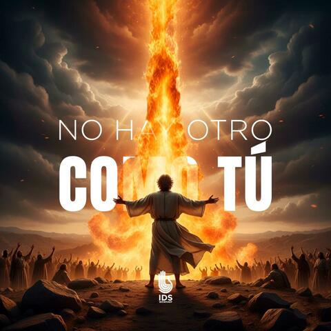 No Hay Otro Como Tú album art