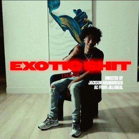 Exotic shit album art