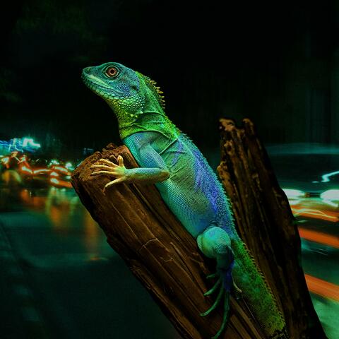 Neon Iguana album art