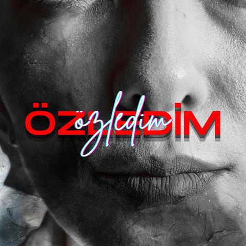 Özledim album art