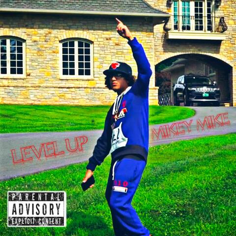 LEVEL UP album art