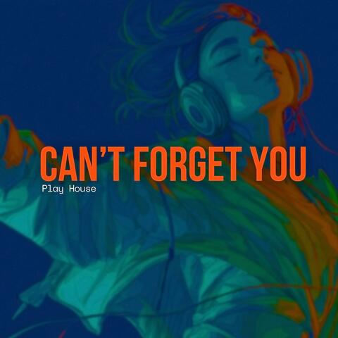 Can't Forget You album art