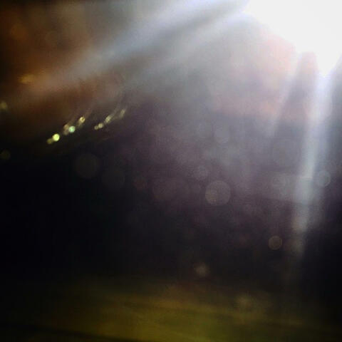 See The Light album art