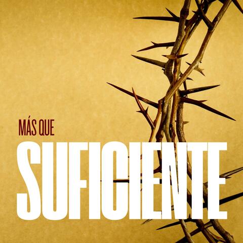 Más que suficiente album art