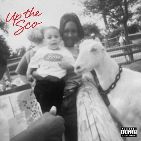 Up The Sco album art