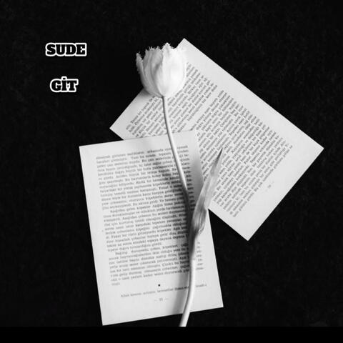 Git album art