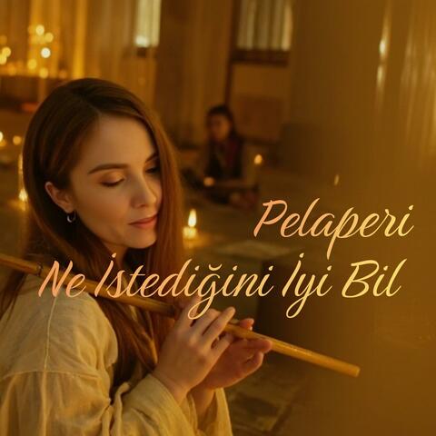 Ne İstediğini İyi Bil album art