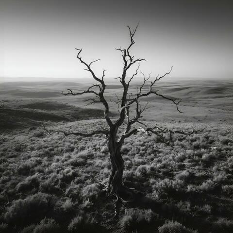 The Tree That Waits album art