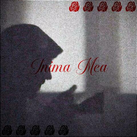 Inima Mea album art