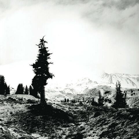 spirit guide album art