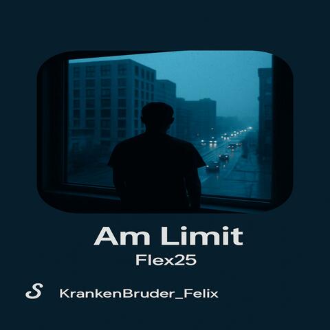 Am Limit album art