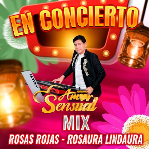 MIX ROSAS ROJAS | ROSAURA LINDAURA (En Vivo) (En vivo) album art