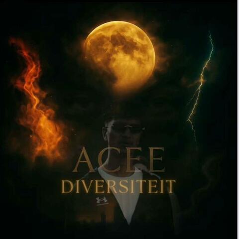 Diversiteit album art