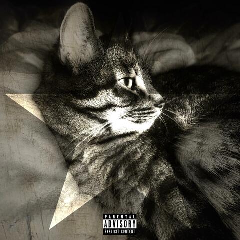 I'm a Fucking Star album art