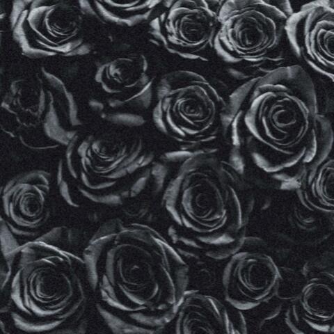 Never Let Go album art