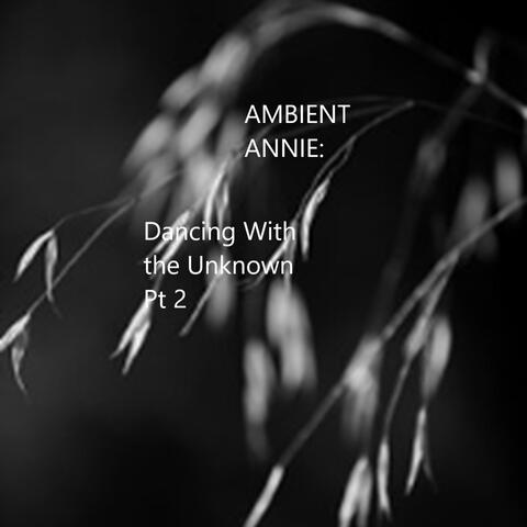 Dancing With the Unknown, Pt. 2 album art