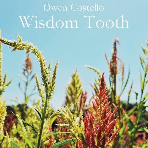 Wisdom Tooth EP album art