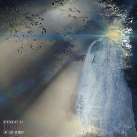 let your guard down album art