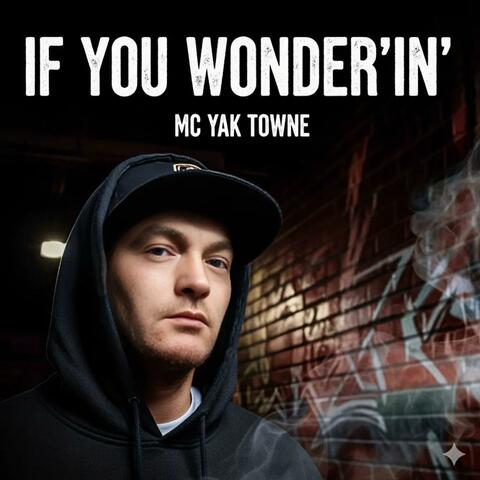 If You Wonder'in album art