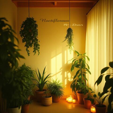 Citrus Lounge（柑橘午后） album art