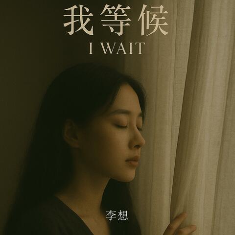 我等候 album art