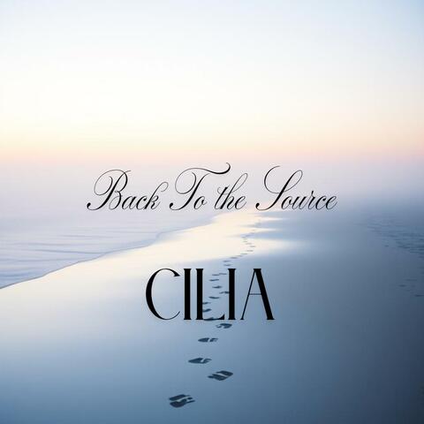 Back to the source album art