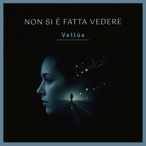 Non Si È Fatta Vedere album art