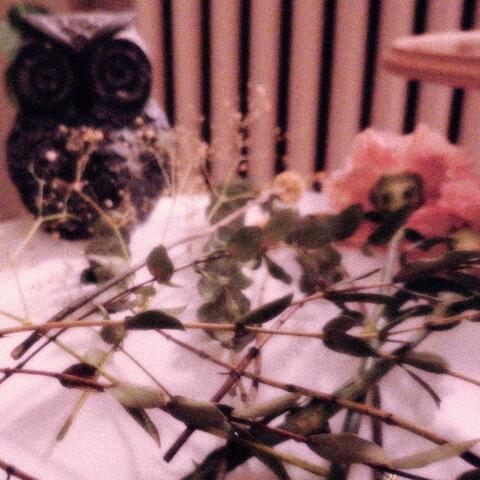 final hour album art