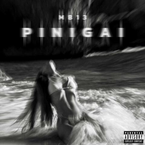PINIGAI album art