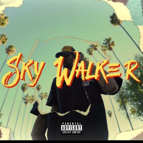 Sky Walker album art