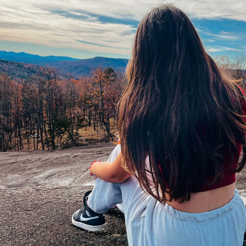 Friendship Fades album art