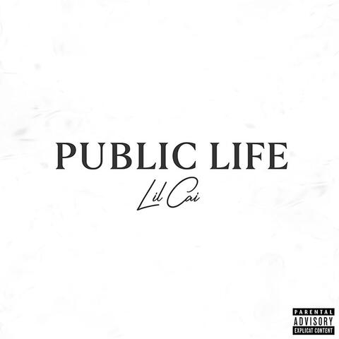 Public Life album art