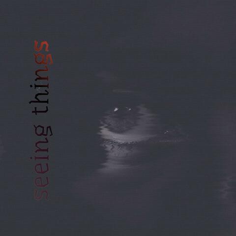 Seeing Thingz album art