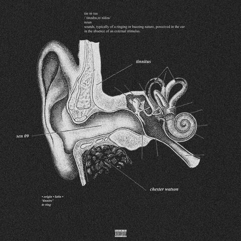 tinnitus album art