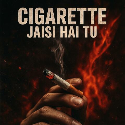 DJ Fahim Cigarette Jaisi Hai Tu album art