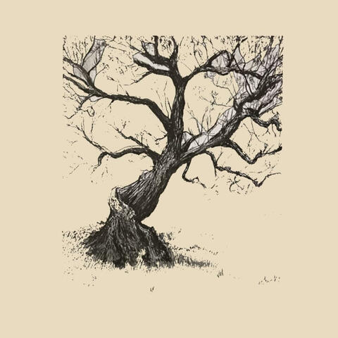 i want to walk as a child of the light album art