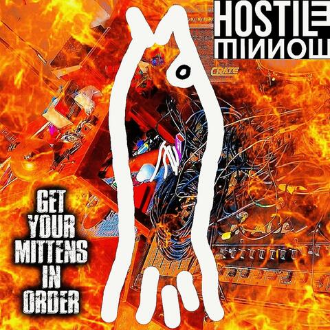 Get Your Mittens In Order album art
