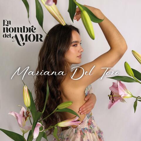 En Nombre Del Amor album art