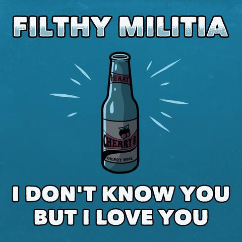 I Don't Know You But I Love You album art