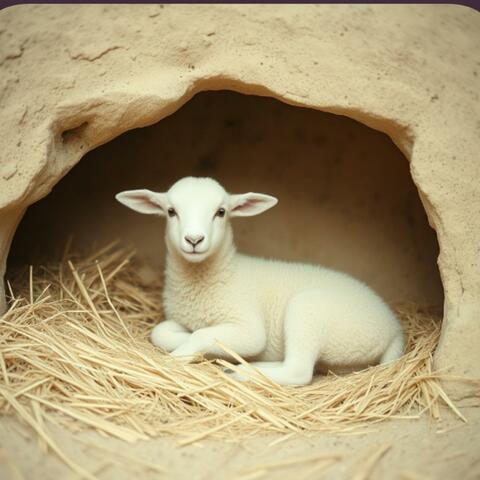 The Lambing Caves & Modern Christmas Hymns album art