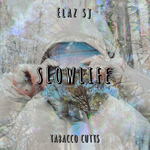 Slowlife album art