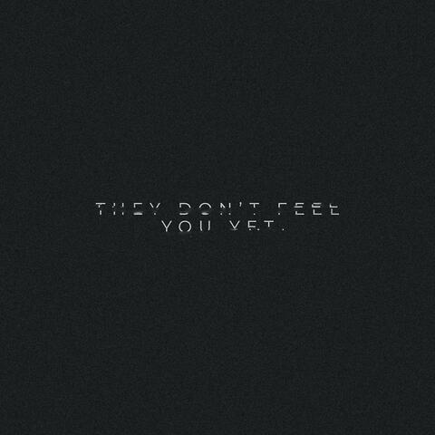 THEY DON'T FEEL YOU YET album art