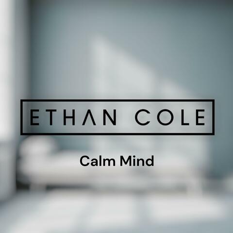 Calm Mind album art