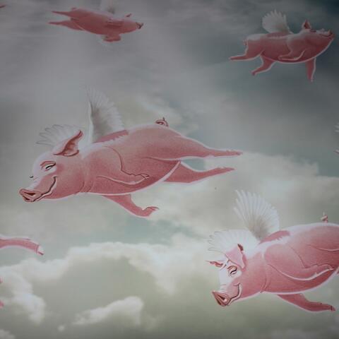 Learning Calminess album art